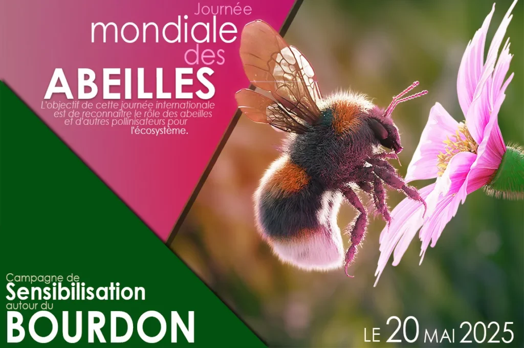 Plaquette fictive pour la Journée Mondiale des Abeilles | Thème du bourdon