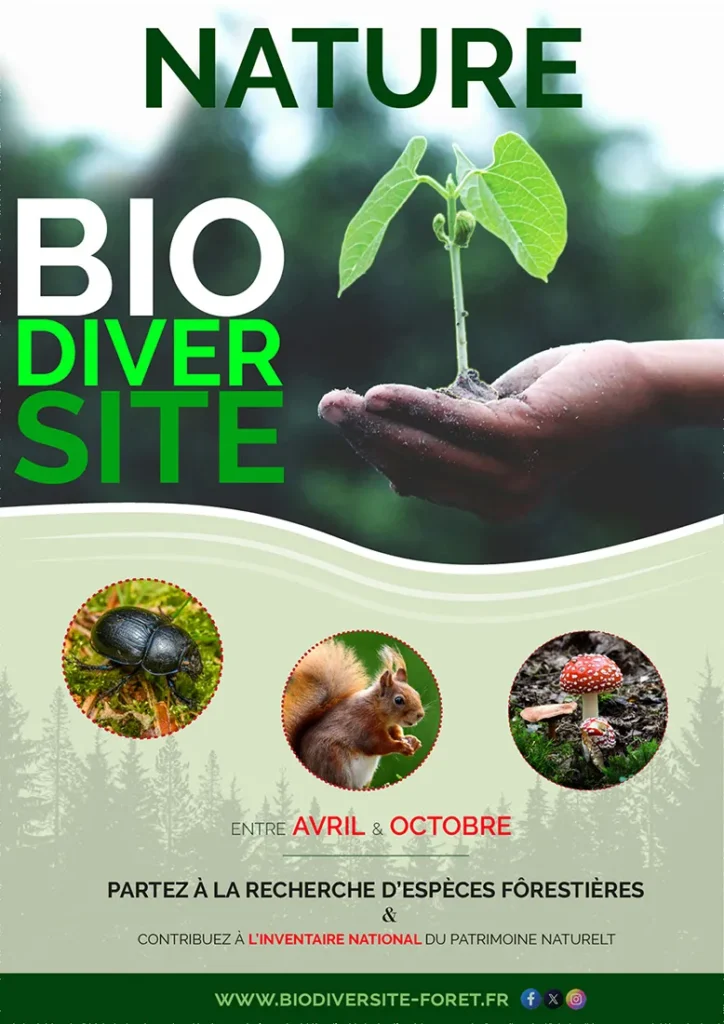 Image réalisée sur ILLUSTRATOR - Eric PREZELIN